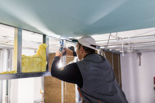 Best Specialized Insulation Services in Clarksdale, MS