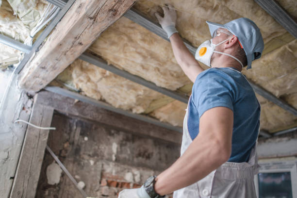 Best Insulation Maintenance and Repair in Clarksdale, MS