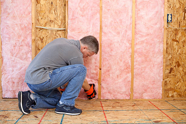 Best Geographic-Specific Insulation Services in Clarksdale, MS