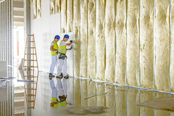 Best Insulation Maintenance and Repair in Clarksdale, MS